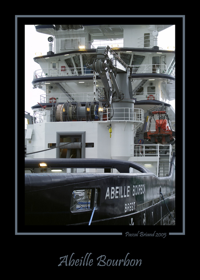 Abeille.jpg