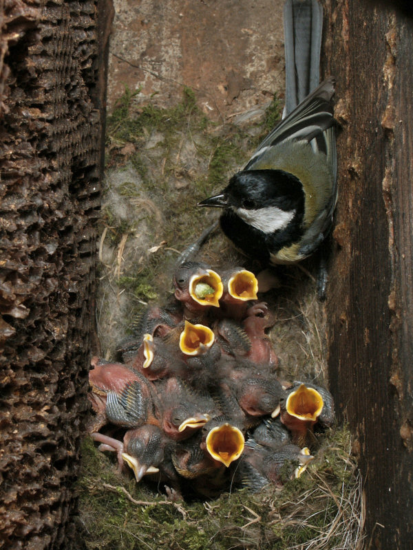 P5040.jpg