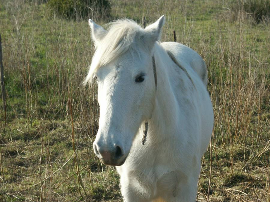 PICT0003.jpg