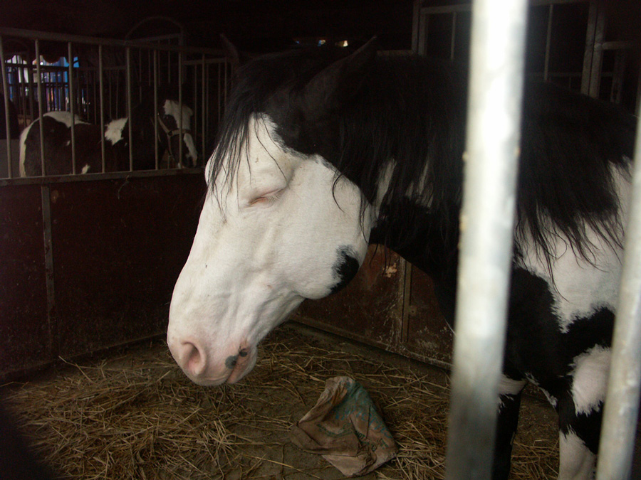 PICT0024.jpg