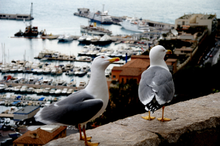 PICT0076.jpg
