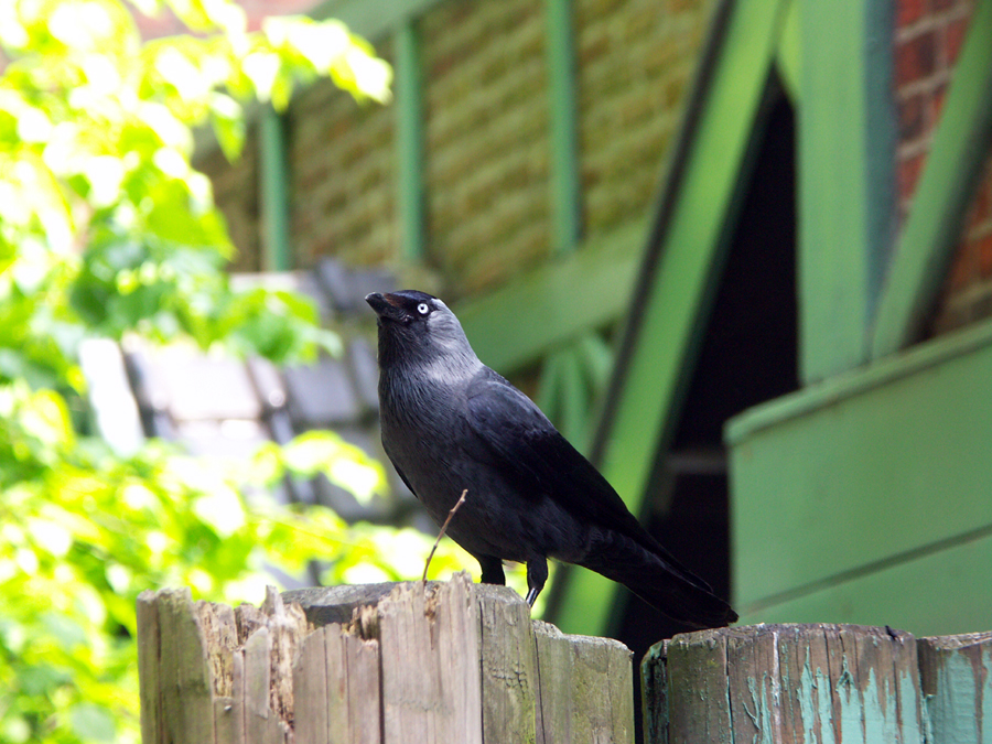 PICT0104.jpg