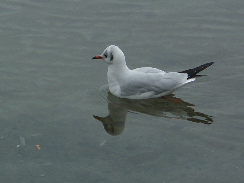 PICT0124.jpg