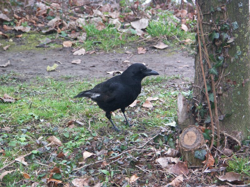 PICT0125.jpg