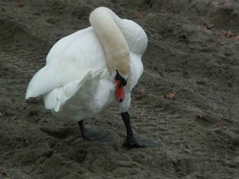 PICT0130.jpg