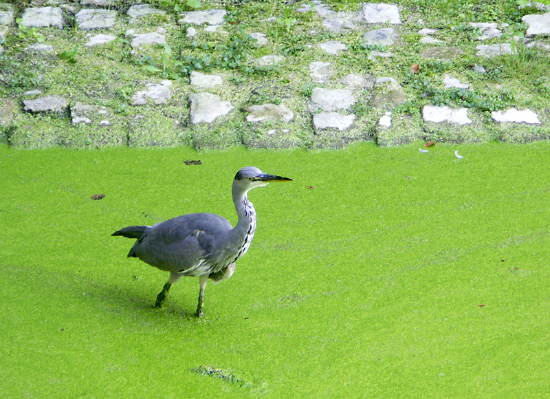 PICT0219_3.jpg