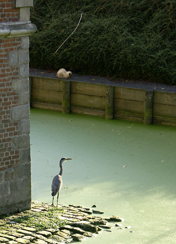 PICT0223_3.jpg