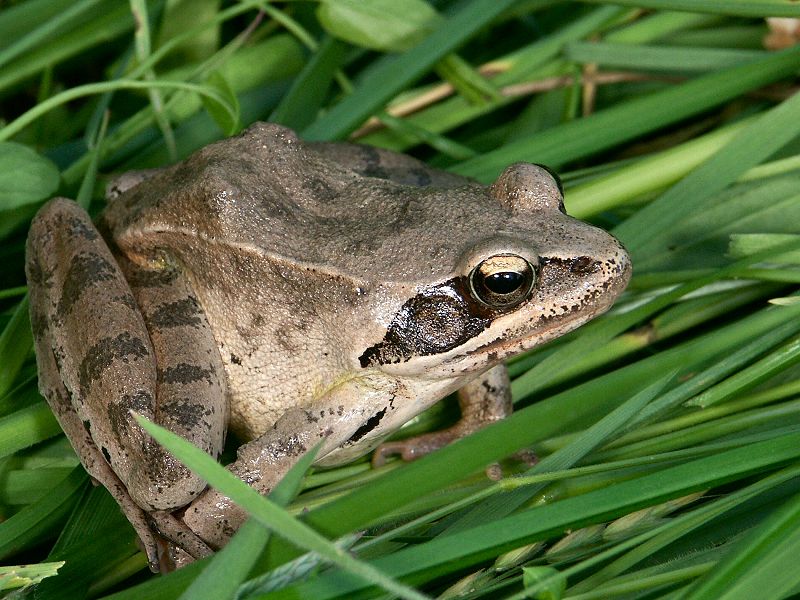 PICT1559.jpg