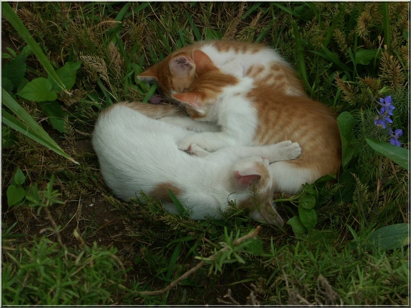 Pict0042.jpg