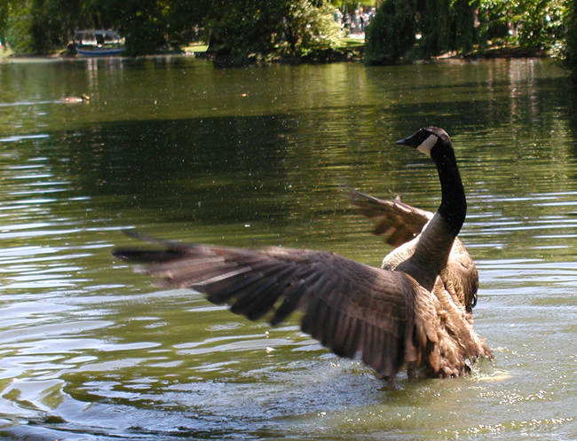 jardin_public-011.jpg