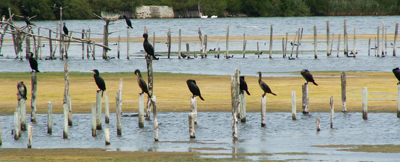 le_teich_1-136.jpg