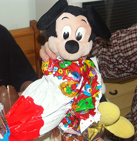 souris.jpg