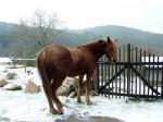 20040219_113219.jpg