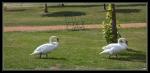 PICT0079