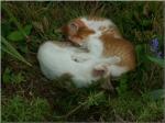 Pict0042.jpg