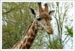 zoo-3.jpg