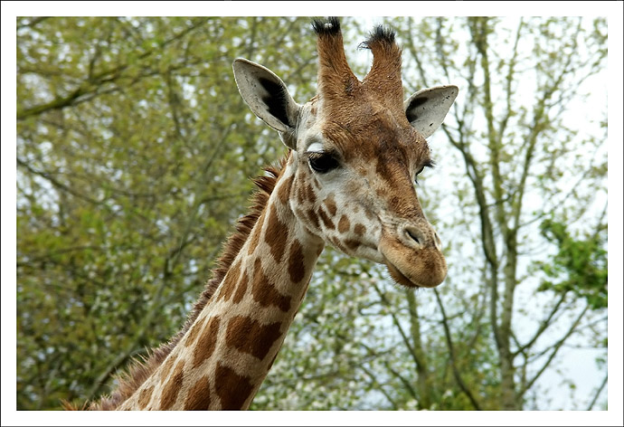 zoo-3.jpg