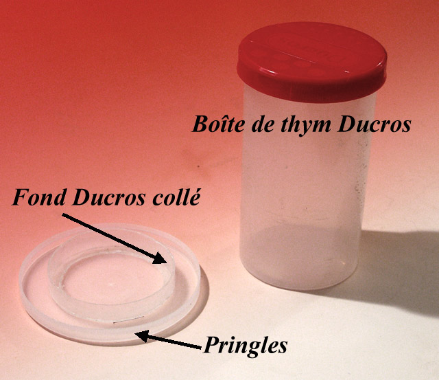 Ducros1.jpg