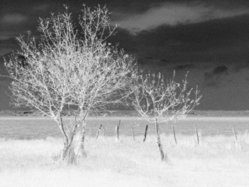 gironde_infrarouge.jpg