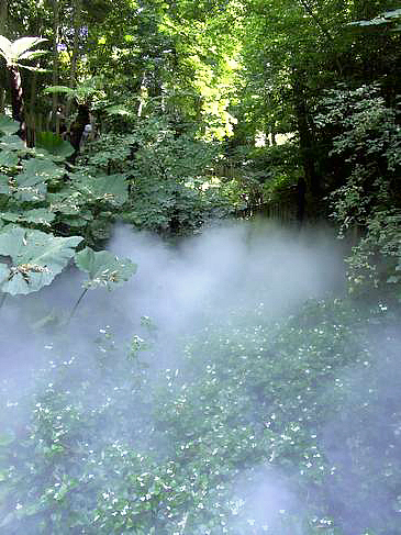 PICT2489.jpg