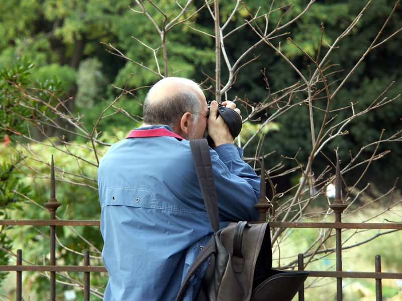 Bug_a_la_chasse_aux_bourgeons.jpg