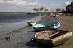 IMG_1705a.jpg