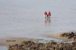 IMG_1743a.jpg