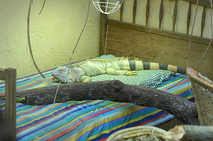 PICT2114.jpg