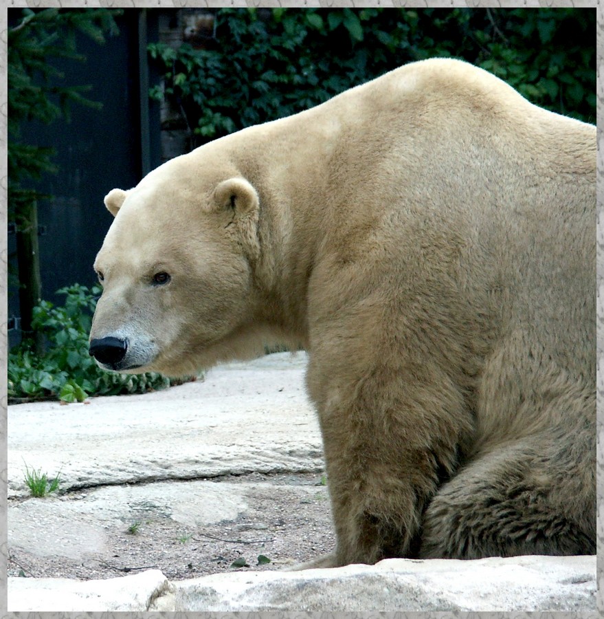 zoo1.jpg