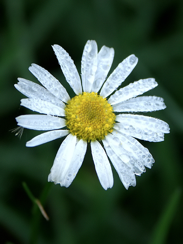 PICT0056.jpg
