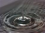 goutte3.jpg