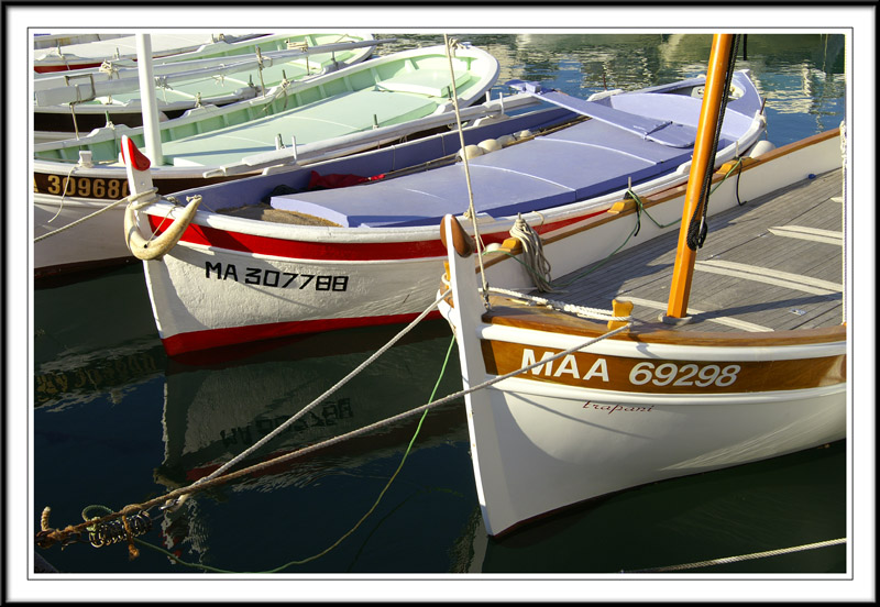 Cassis0297.jpg