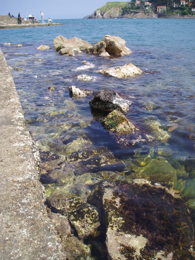 De_la_terre_a_la_mer.jpg