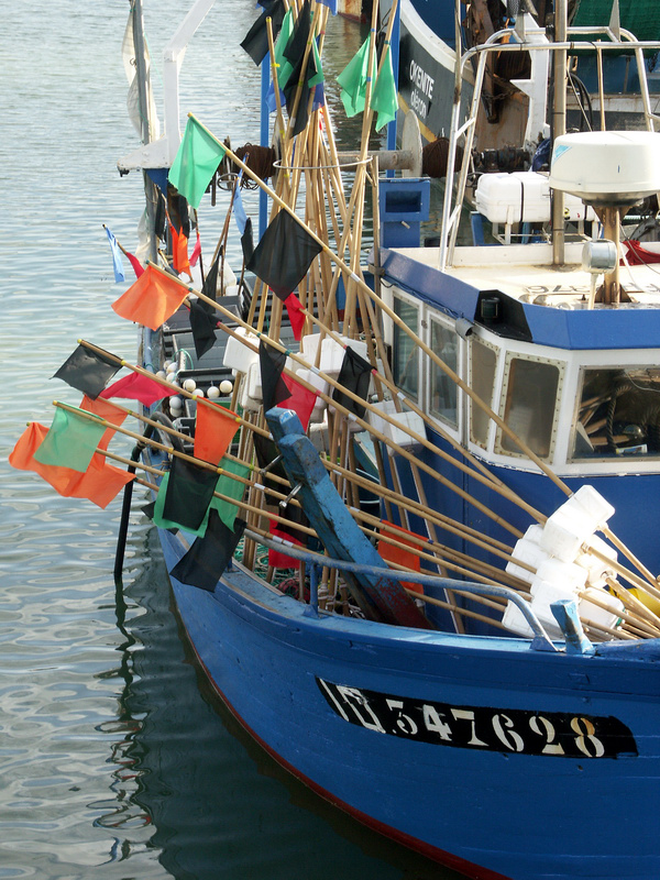 Oleron_090.jpg