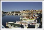 Cassis0292.jpg