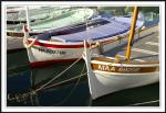 Cassis0297.jpg