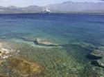 NICE_CALVI23petite.jpg