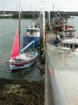 Oleron_085.jpg