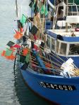 Oleron_090.jpg
