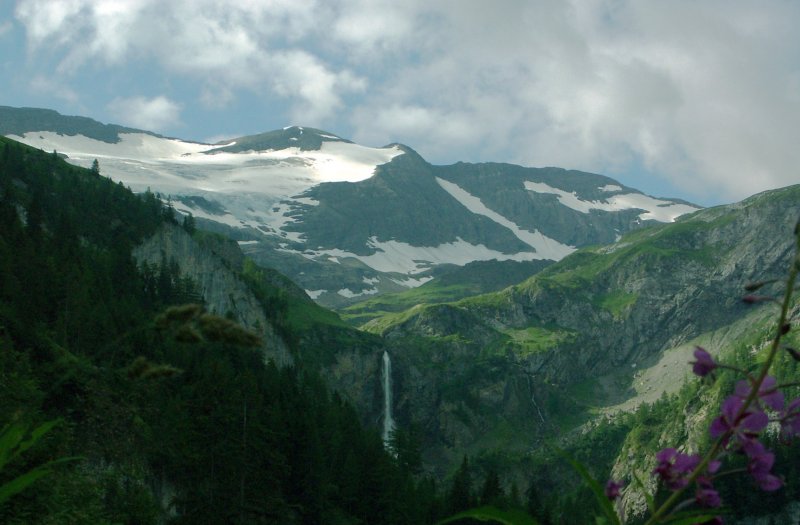 Nature.jpg