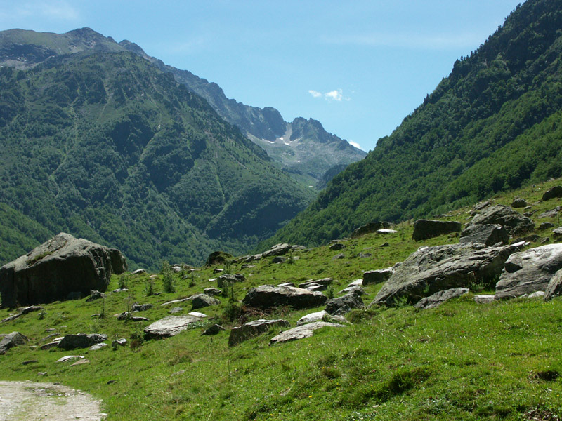 ORLU11.jpg