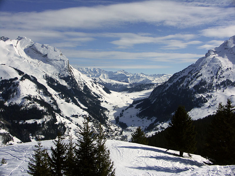 PICT136311.jpg