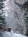Derniere_neige.jpg