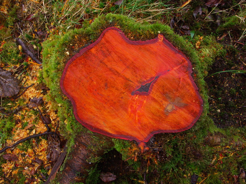 Couleurs.jpg