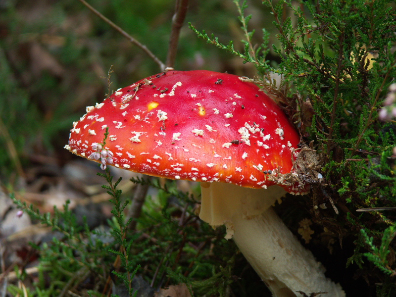 PICT0003.jpg