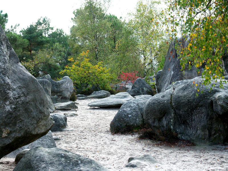 PICT0016.jpg