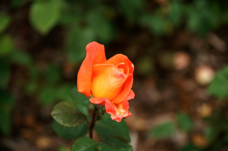 PICT0048.jpg