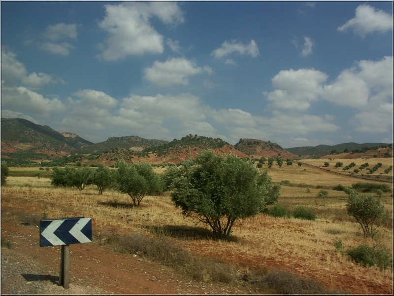 Pict0081.jpg