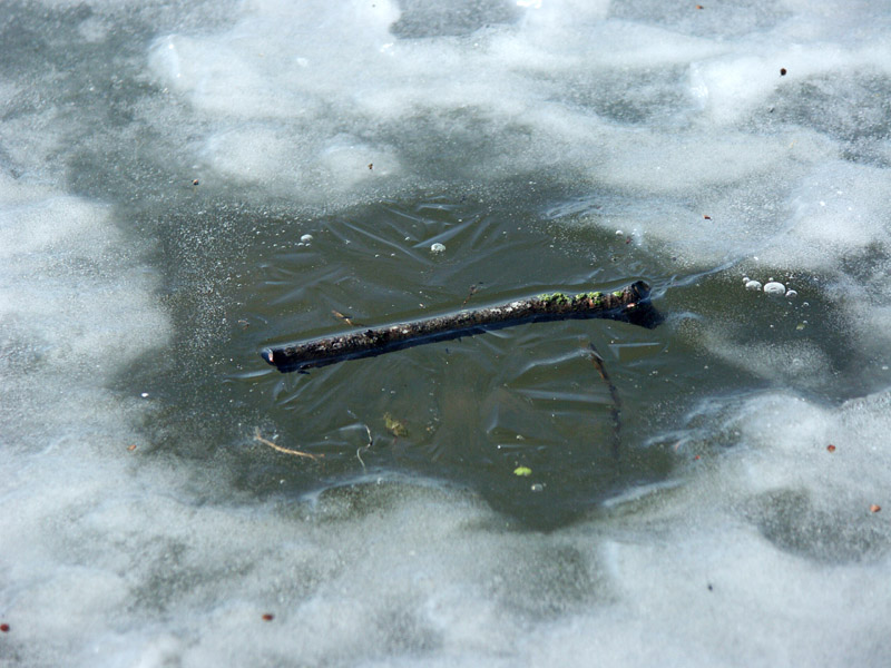 bois_glace.jpg