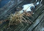 Naturemorte.jpg